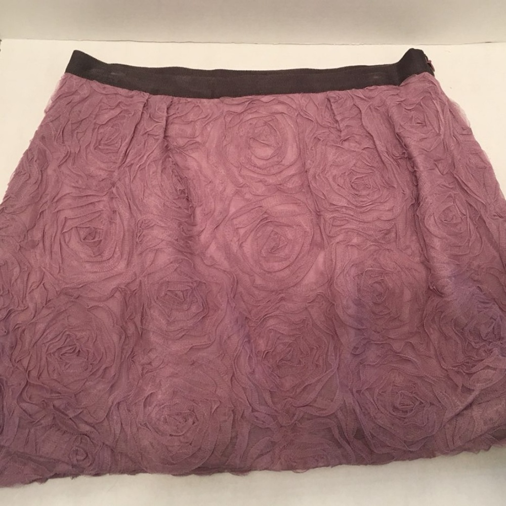 J. Crew Skirt